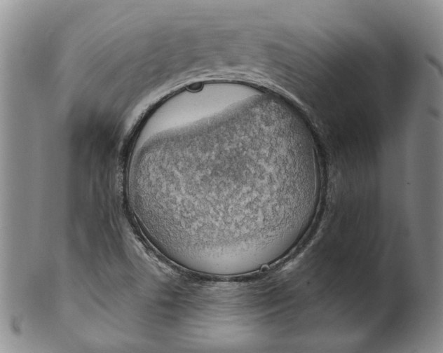 X0000100411506200806271432