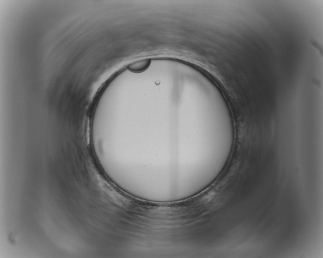 X0000100411510200806271432