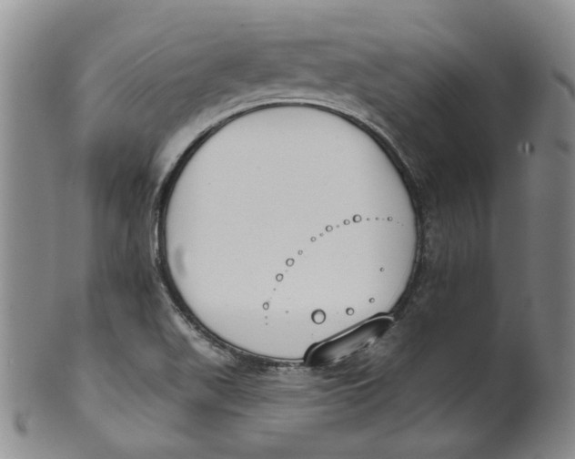 X0000100411511200806271432