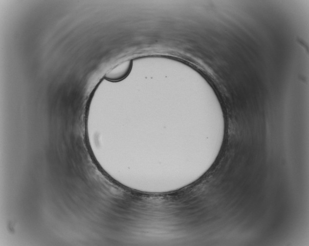 X0000100411512200806271432