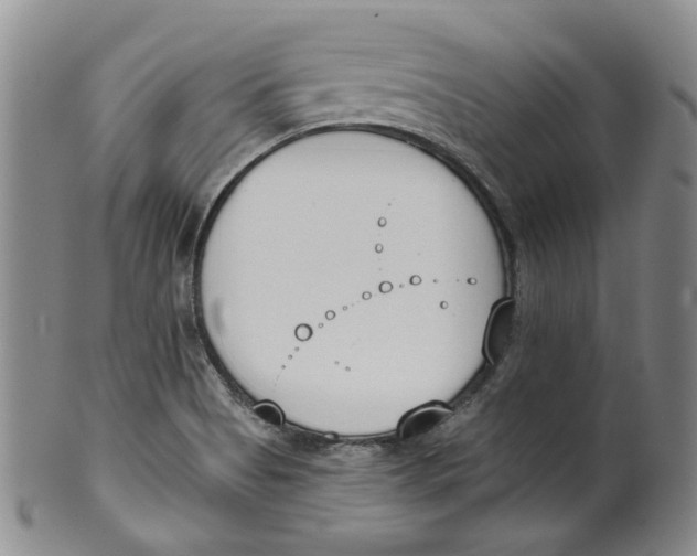 X0000100411513200806271432