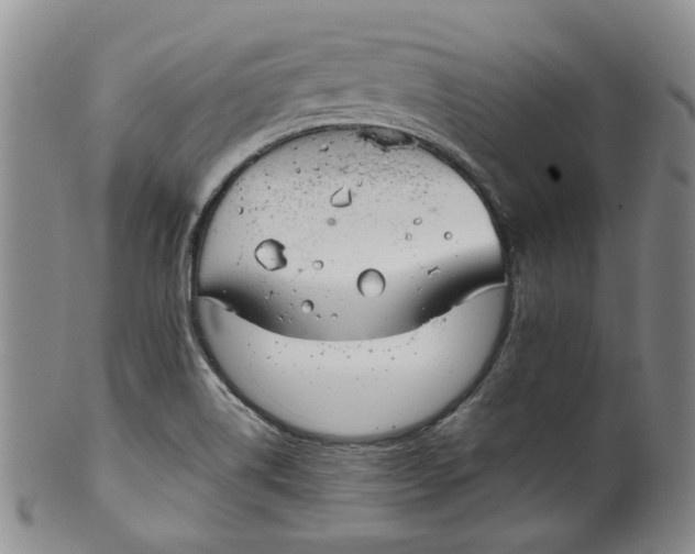 X0000100411514200806271432