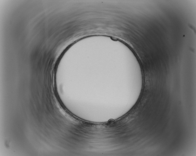 X0000100411515200806271432