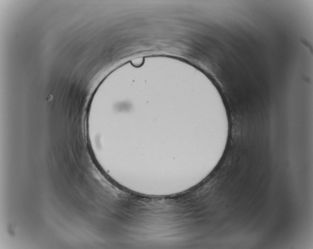 X0000100411516200806271432