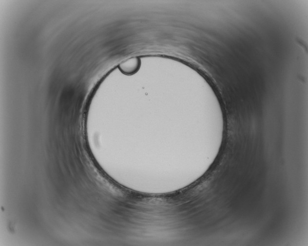 X0000100411517200806271432