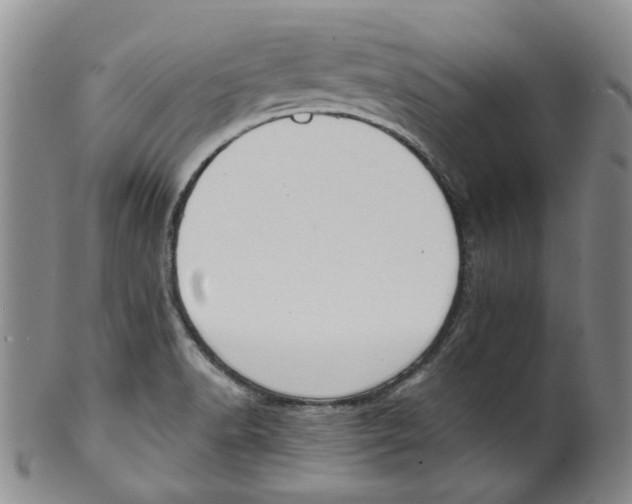 X0000100411518200806271432