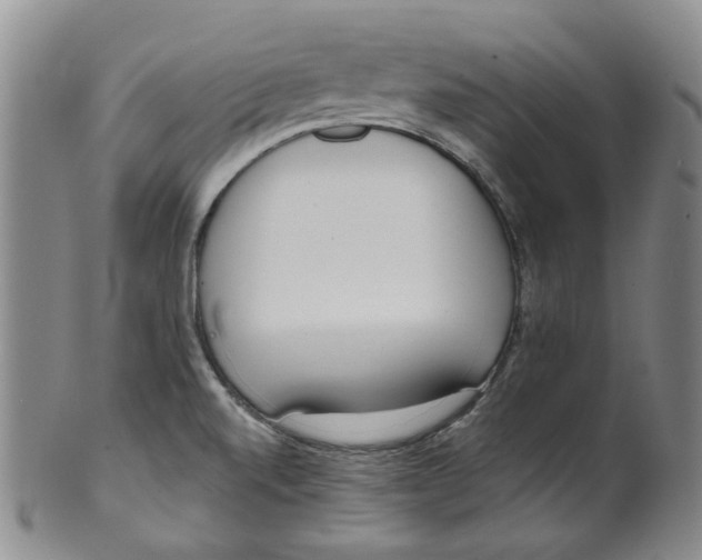 X0000100411520200806271432