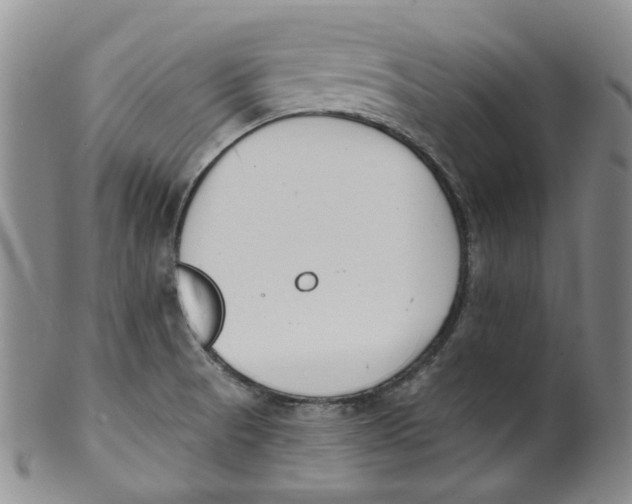 X0000100411521200806271432