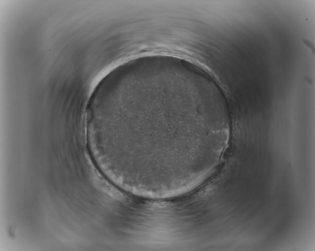 X0000100411522200806271432