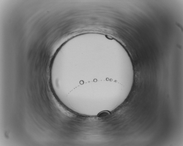 X0000100411523200806271432