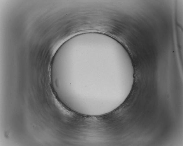 X0000100411524200806271432