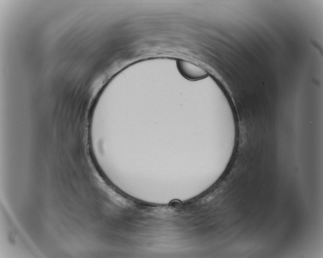 X0000100411525200806271432