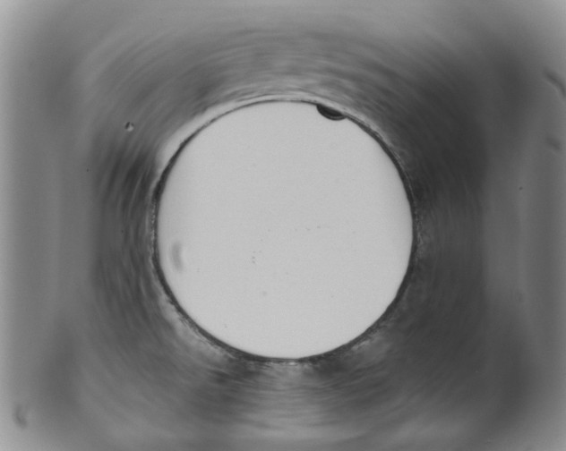 X0000100411526200806271432