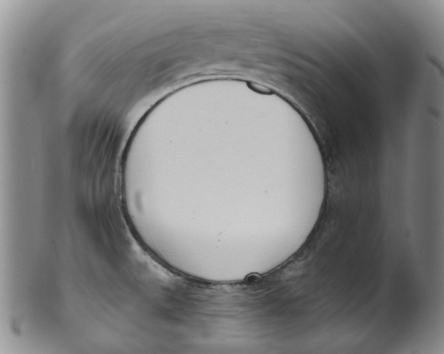 X0000100411527200806271432