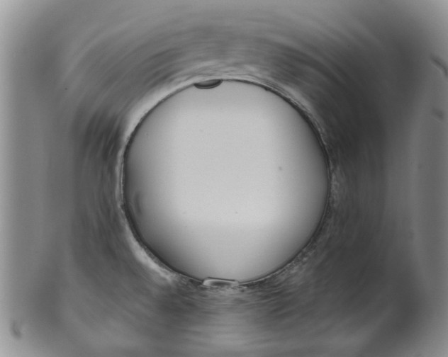 X0000100411528200806271432