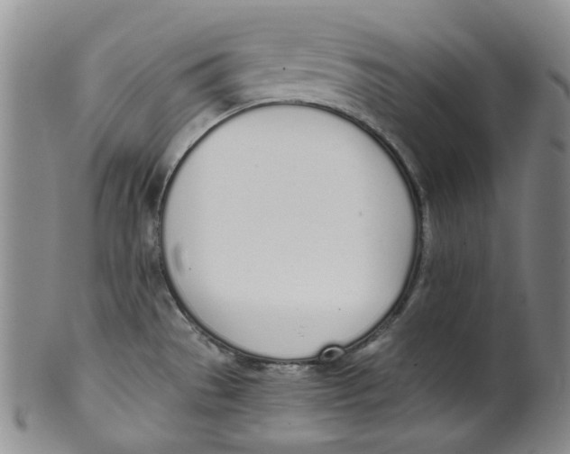 X0000100411529200806271432