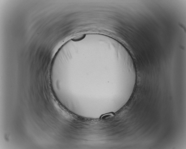 X0000100411530200806271432