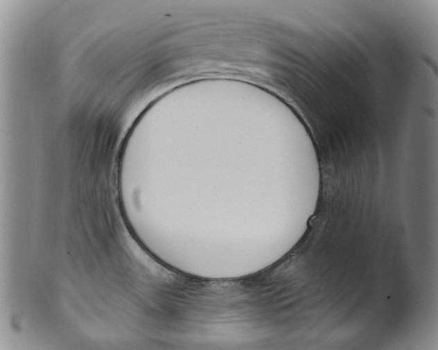 X0000100411531200806271432