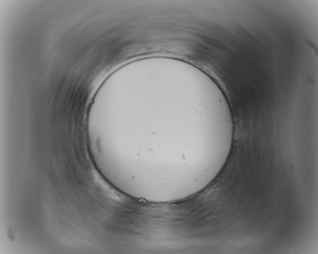 X0000100411532200806271432