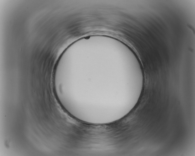 X0000100411533200806271432