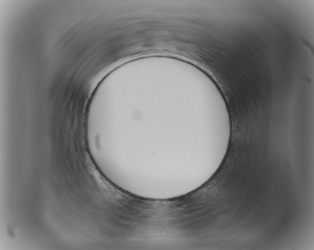 X0000100411534200806271432