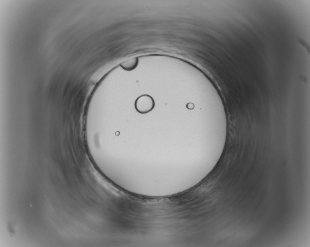 X0000100411535200806271432