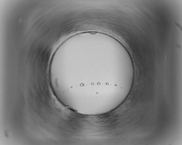 X0000100411536200806271432