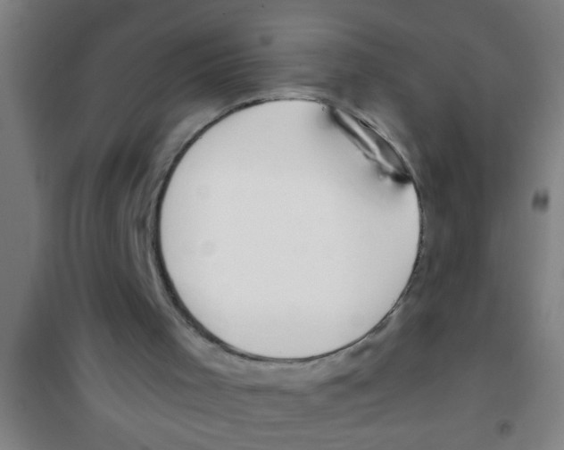 X0000100410001200807032048