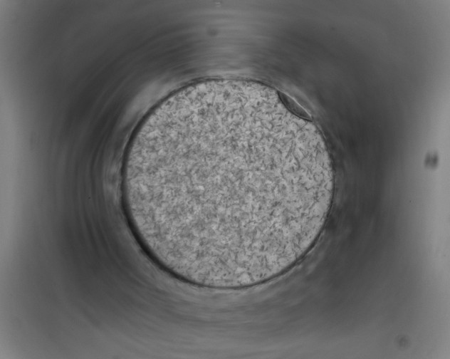 X0000100410002200807032048