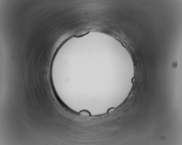 X0000100410003200807032048