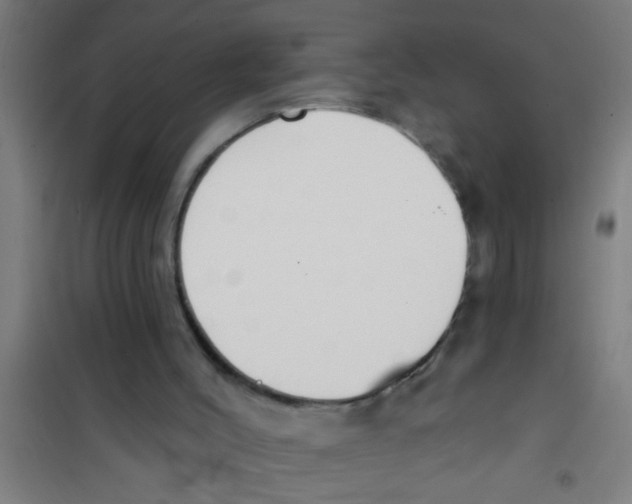 X0000100410004200807032048