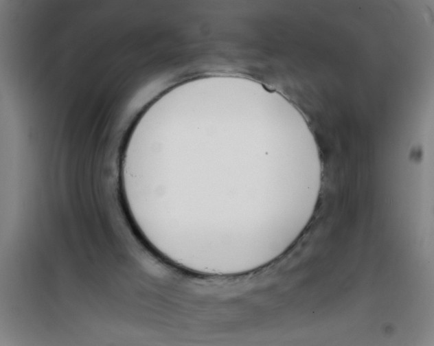 X0000100410005200807032048