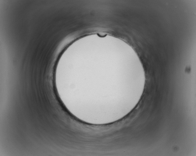 X0000100410006200807032048