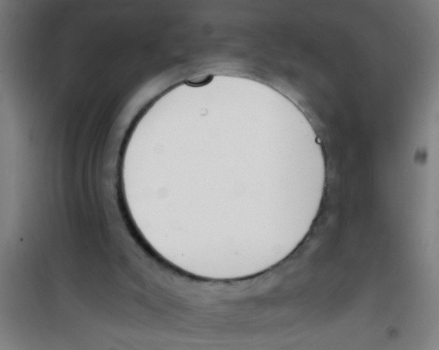 X0000100410007200807032048