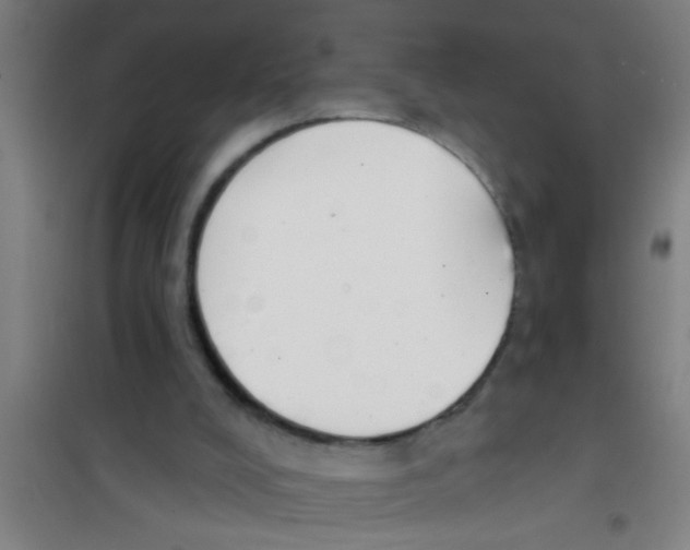 X0000100410008200807032048