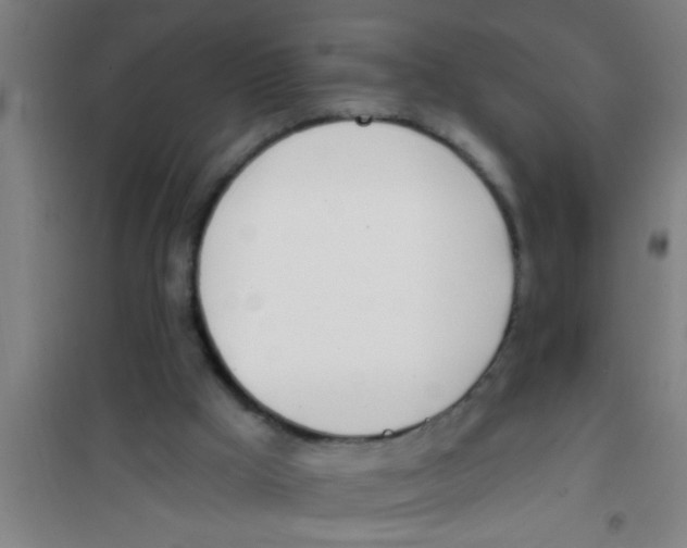 X0000100410009200807032048