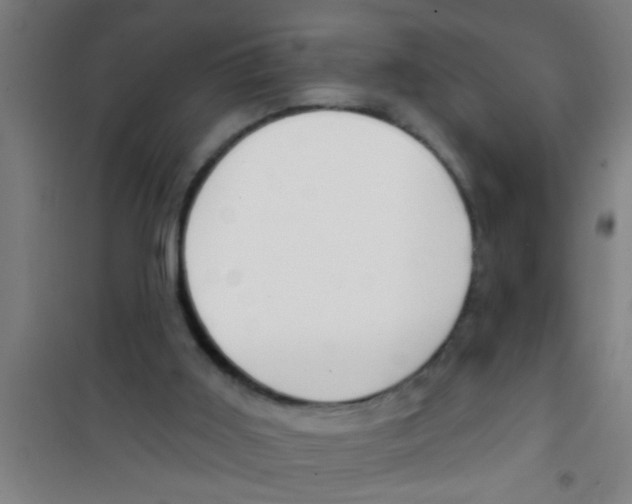 X0000100410011200807032048