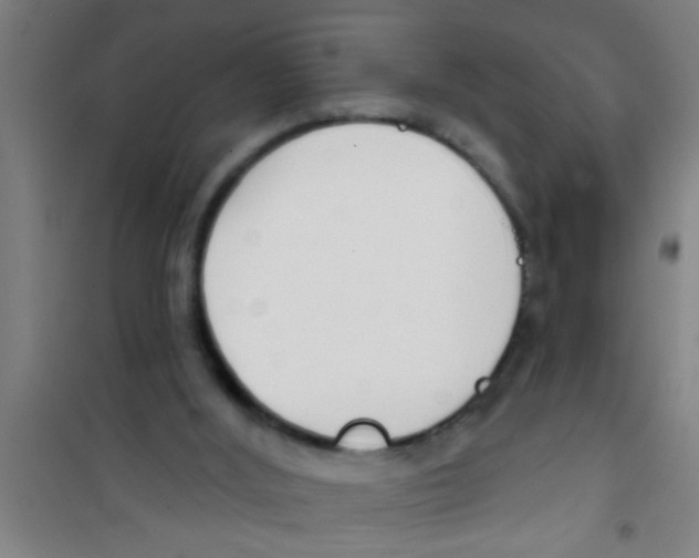 X0000100410012200807032048