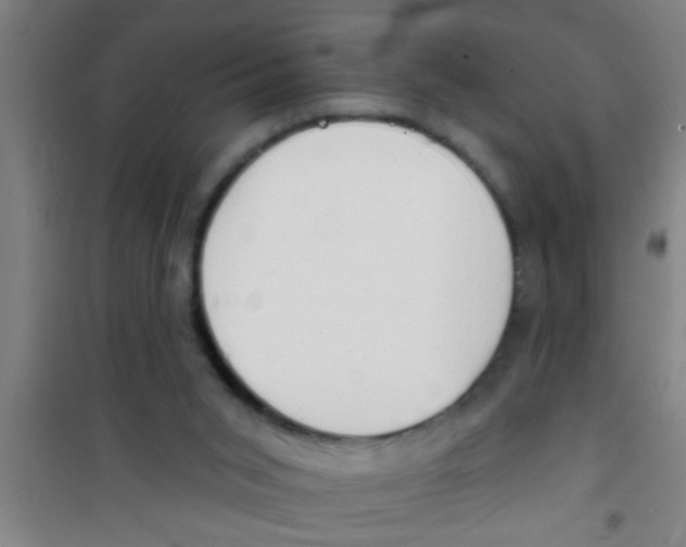 X0000100410015200807032048