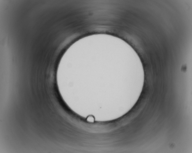 X0000100410016200807032048