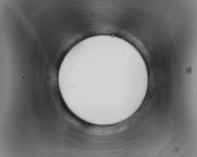 X0000100410017200807032048