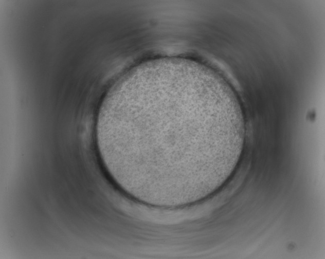X0000100410018200807032048