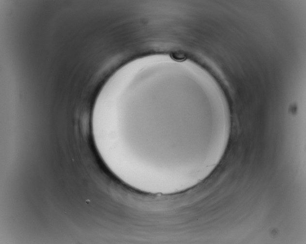X0000100410019200807032048