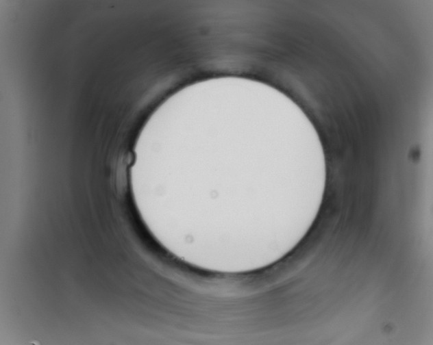 X0000100410020200807032048