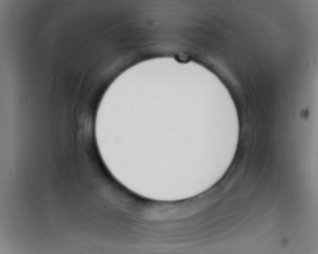 X0000100410021200807032048