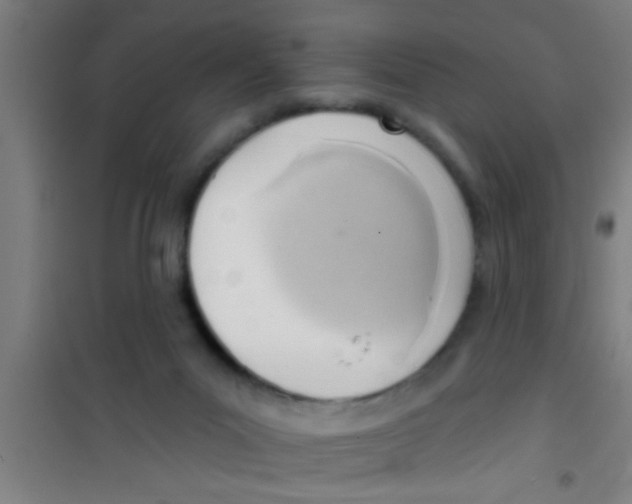 X0000100410023200807032048