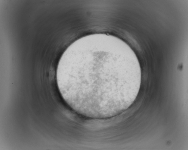 X0000100410025200807032048