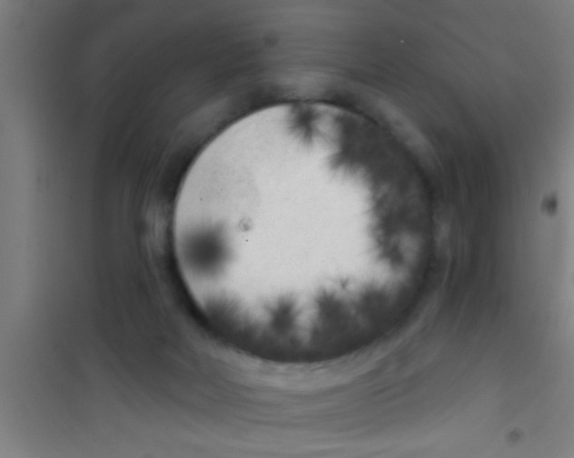 X0000100410026200807032048