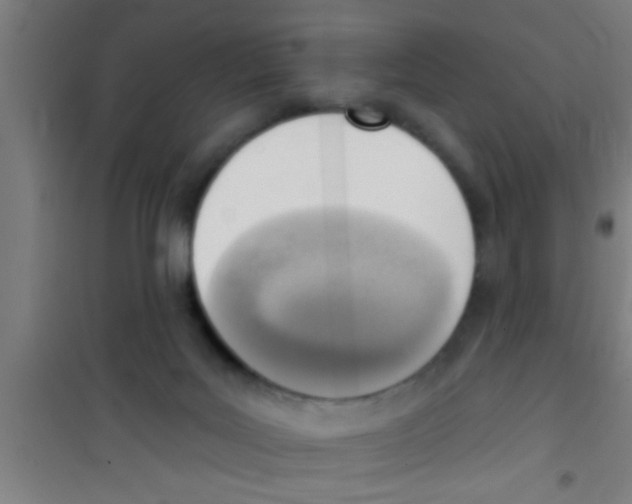 X0000100410027200807032048