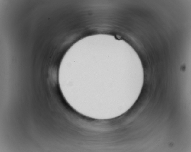 X0000100410028200807032048